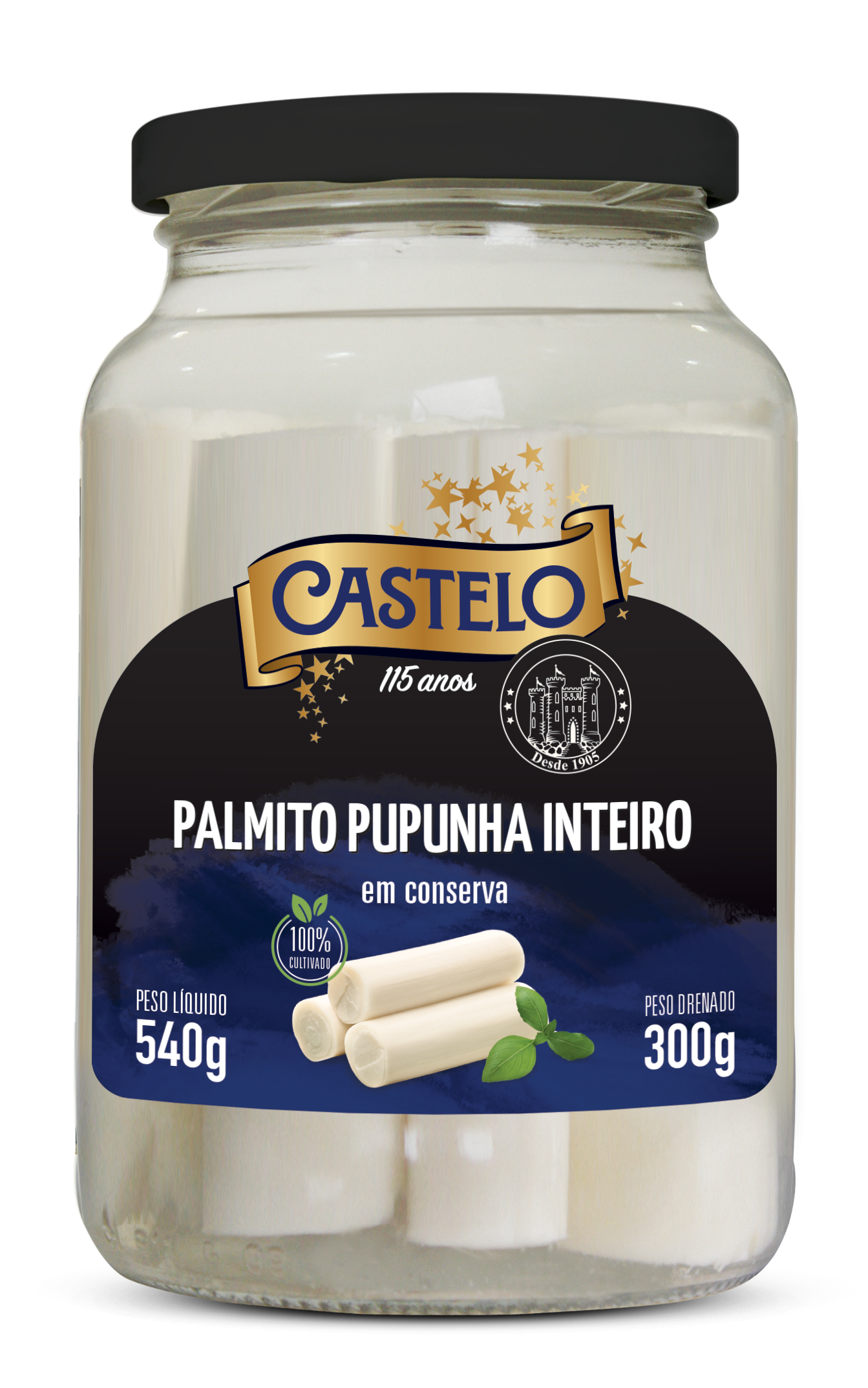 PALMITO PUPUNHA INTEIRO CASTELO 300G
