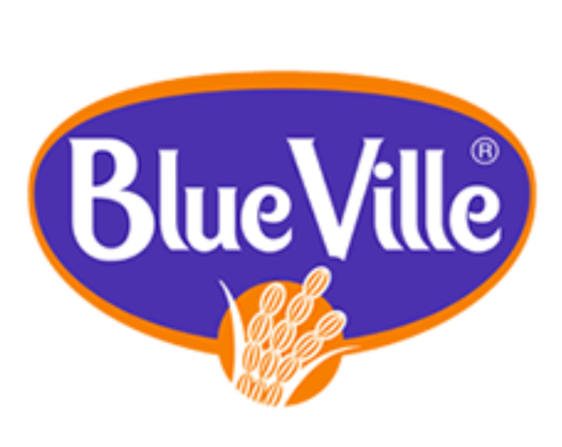 Logo Blue Ville